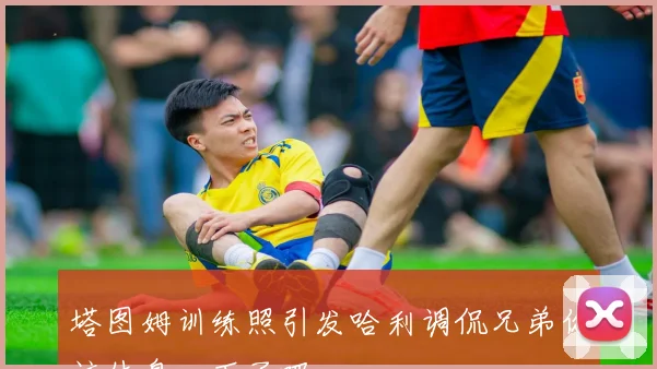塔图姆训练照引发哈利调侃兄弟你该休息一下了吧