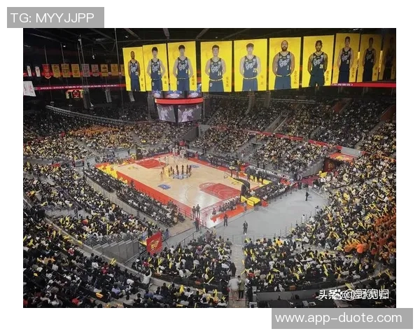 安芬尼赞绿军主场球迷热情享受在这座球馆的比赛氛围